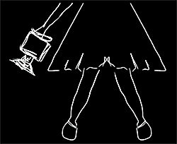 Nice Lady Productions logo