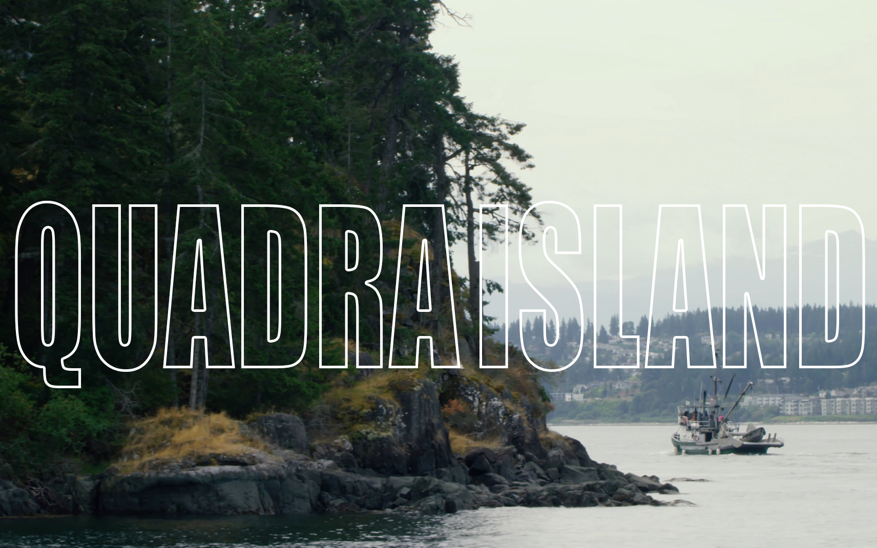 yellow dog whole foods